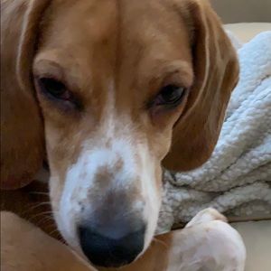 Meet your Posher, Lee